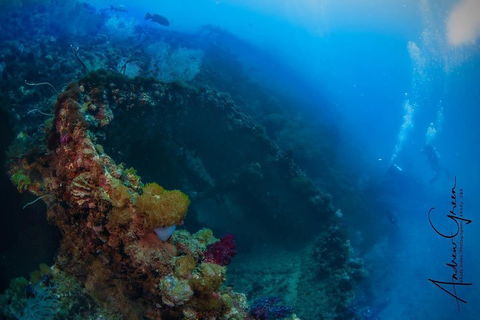 Scuba Dive The S.S. Yongala Wreck On The Great Barrier Reef. - Sydney 4u 3