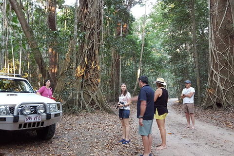 Great Beach Drive 4WD Tour - Private Charter From Noosa To Rainbow Beach - Accommodation Sydney 1